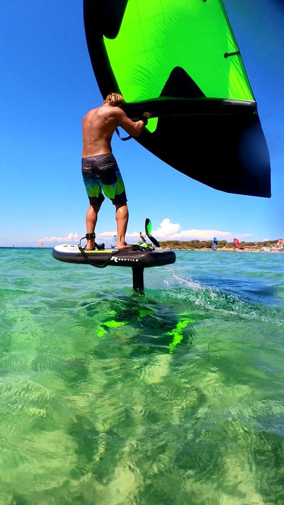 rear-wing-foil-reptile